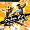 Cobra Kai: the karate kid saga continues | Account Xbox One | Series X/S [NO CODICE] DigitalGameSharing LTD