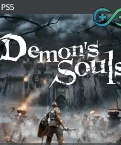 Demons Souls | PS5 | TR | Privato