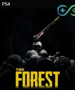 The Forest | PS4 | Privato