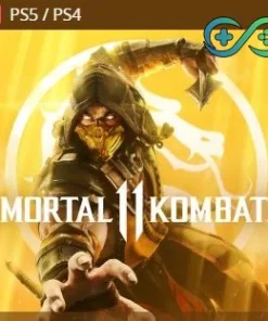 Mortal Kombat 11 | PS4/PS5 | TR | Privato