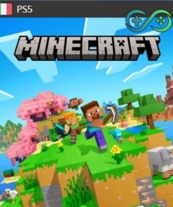 Minecraft | PS4/PS5 | Privato