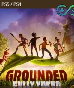 Grounded | PS4/PS5 | TR | Privato
