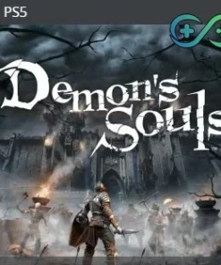 Demons Souls | PS5 | Privato