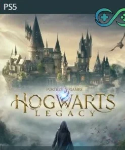 Hogwarts LegacyVersion | PS5 | Privato