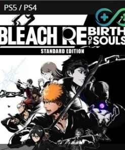 BLEACH Rebirth of Souls | PS4/PS5 | INDIA | Privato