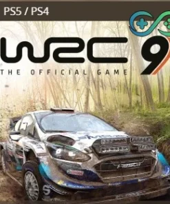 WRC 9 FIA World Rally Championship | PS4/PS5 | TR | Privato