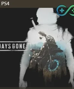 Days Gone | PS4 | Privato