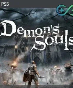 Demon’s Souls | PS5 | Privato