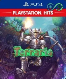 Terraria | PS4 | Privato
