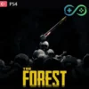 The Forest | PS4 | Privato