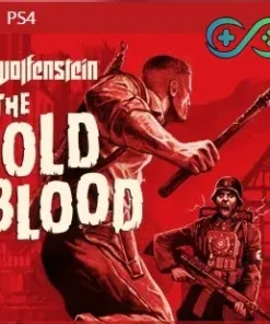 Wolfenstein: The Old Blood | PS4/PS5 | TR | Privato